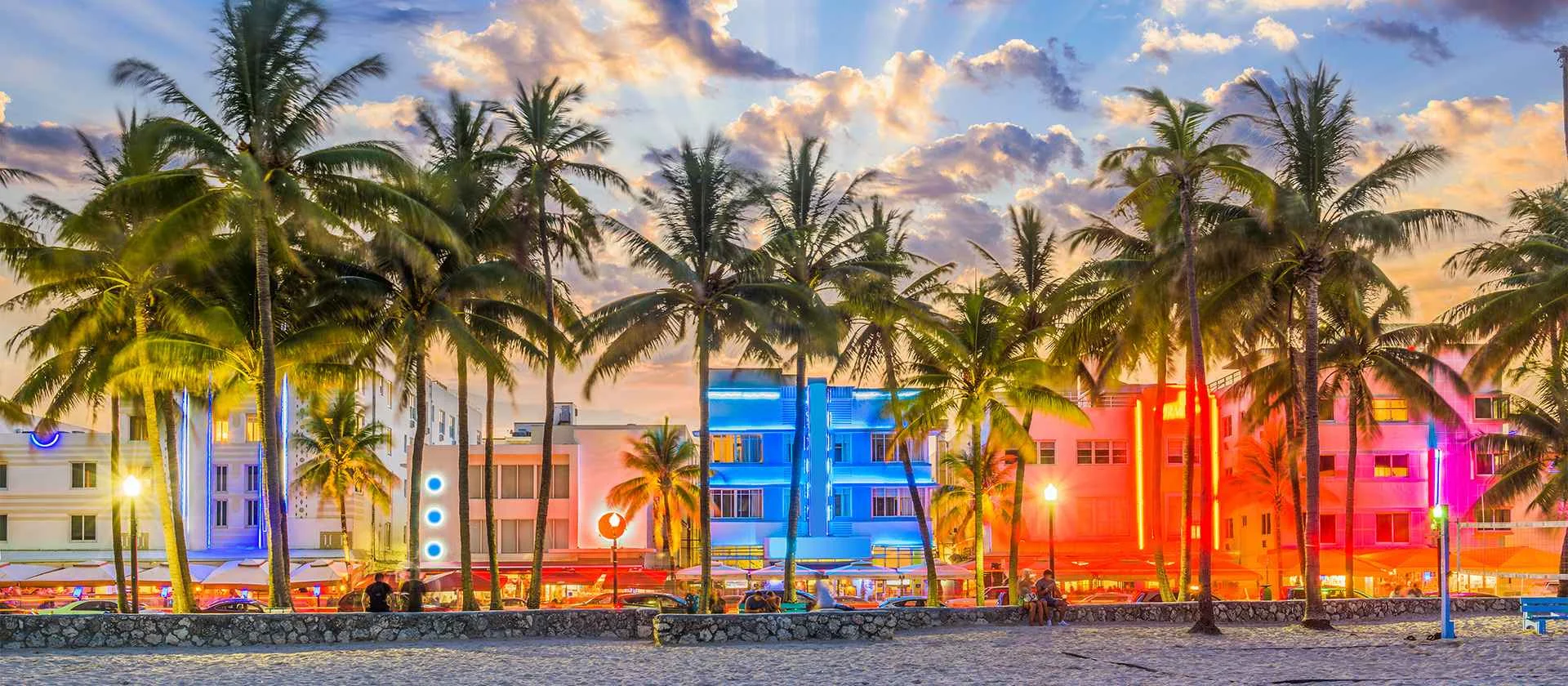 beachfront of Miami with palm trees