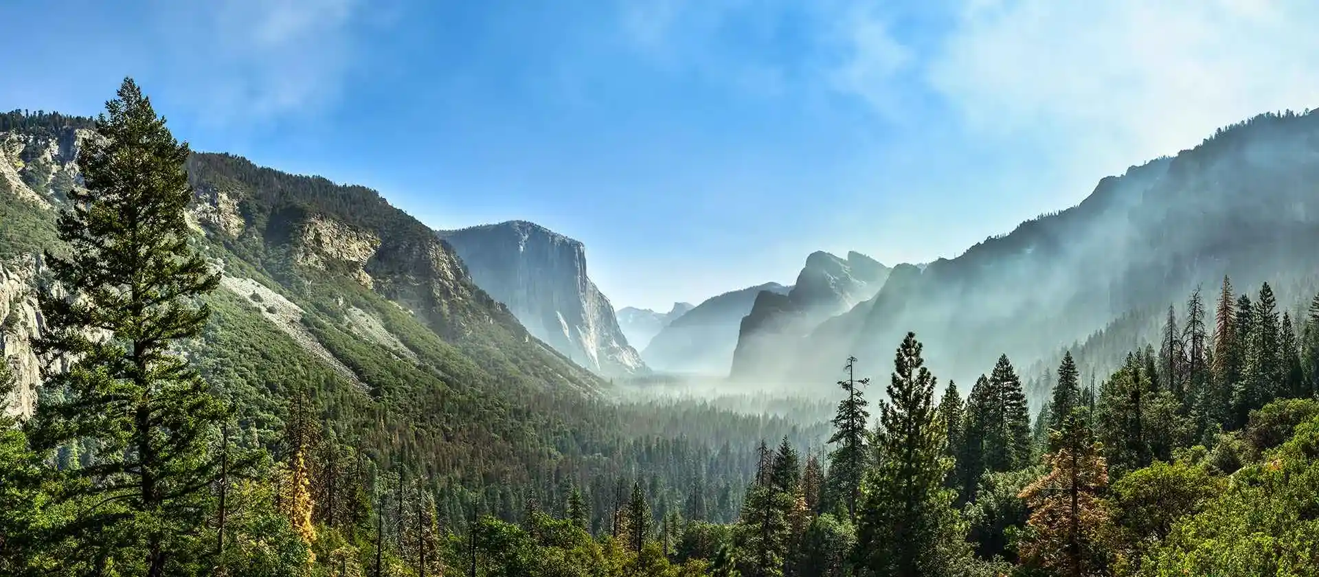 ein grüner Nationalpark